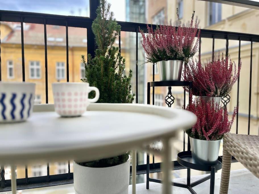 Appartement Sunlit -